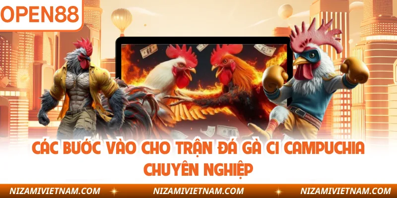Các bước vào cho trận đá gà C1 Campuchia chuyên nghiệp
