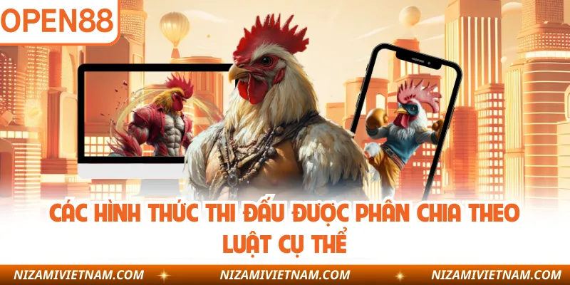 Các hình thức thi đấu được phân chia theo luật cụ thể