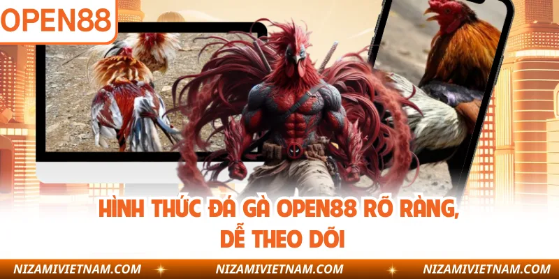Hình thức đá gà OPEN88 rõ ràng, dễ theo dõi
