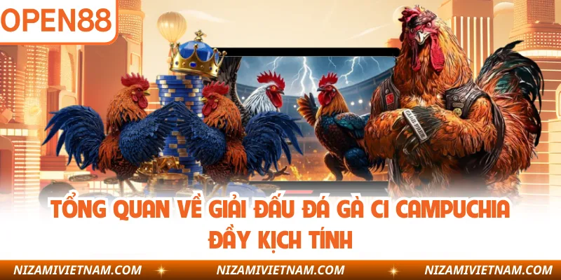 Tổng quan về giải đấu đá gà C1 Campuchia đầy kịch tính